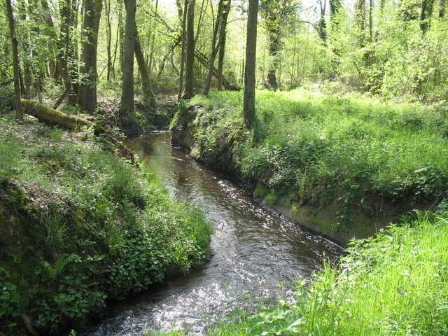 2008 04  Bota et Myco 14